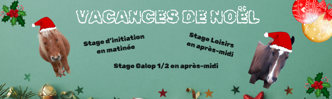 Stages Vacances de Noël 2024