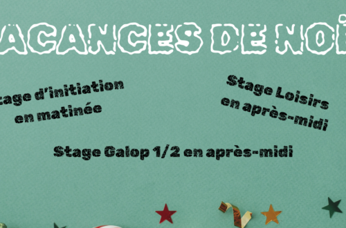 Stages Vacances de Noël 2024